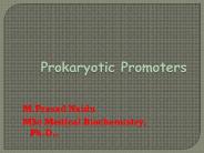 Promoter_Characterization