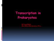 ProkarTranscription