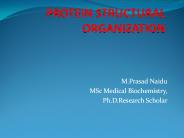 Protein structural organisation