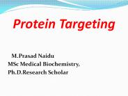 PROTEIN TARGETING