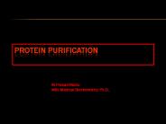 Proteins purification