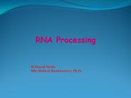 RNA Processing Eukaryotes.