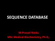 Sequence database.pptx