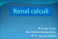 Renal calculi PowerPoint PPT Presentation