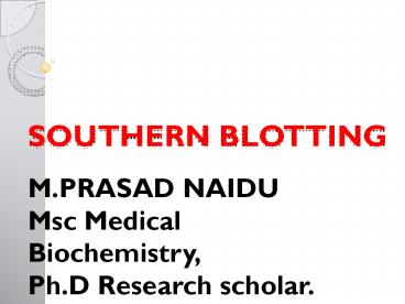 Southern Blotting Technique