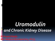 UROMODULIN PowerPoint PPT Presentation