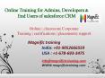 salesforce crm online training in usa (1) PowerPoint PPT Presentation