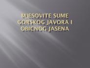 Prezentacija