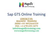 sap gts online training (1)