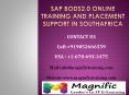 SAP BODS2.0 online training and placement support in southafrica PowerPoint PPT Presentation