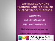 SAP BODS2.0 online training and placement support in southafrica