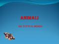 ANIMALI PowerPoint PPT Presentation