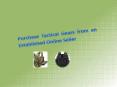 Purchase Tactical Gears from an Established Online Seller PowerPoint PPT Presentation