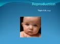 Reproduction PowerPoint PPT Presentation