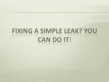 Fixing a Simple Leak You Can Do It