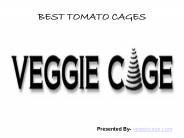 Looking For New Tomato Cages