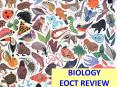 BIOLOGY EOCT REVIEW PowerPoint PPT Presentation