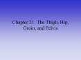 Chapter 21: The Thigh, Hip, Groin, and Pelvis PowerPoint PPT Presentation