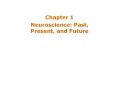 Neuroscience: Past, Present, and Future PowerPoint PPT Presentation