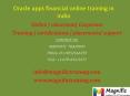 oracle apps financial online training in india PowerPoint PPT Presentation