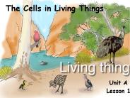 The Cells in Living Things
