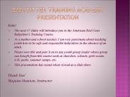 Babysitter Training Academy Presentation