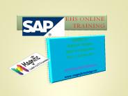 sap ehs online training (1)