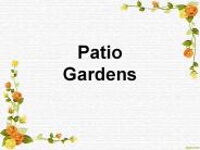 Patio Gardens