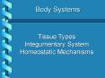 Body Systems PowerPoint PPT Presentation