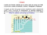 Diapositiva 1