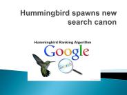Humming bird Google Algo Update