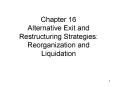 Chapter 16 Alternative Exit and Restructuring Strategies: Reorganization and Liquidation PowerPoint PPT Presentation