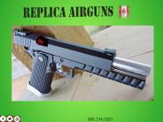 Tips for Hunting with an Air Rifle