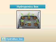 hydroponic grow box systems