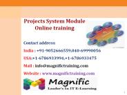 Project System Module Online Training