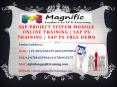 SAP project system module Online Training - SAP ps Training - SAP ps free Demo PowerPoint PPT Presentation