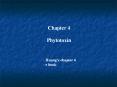 Chapter%204%20%20Phytotoxin PowerPoint PPT Presentation