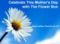 Celebrate This Mother’s Day with The Flower Box PowerPoint PPT Presentation