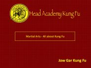 Martial Arts - All about Kung Fu