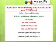 HANA DEV online training in SAP-PLACEMENT and TUTORIALS