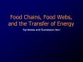 Food Chains, Food Webs, and the Transfer of Energy PowerPoint PPT Presentation