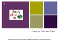 Plants for Food and Fibre PowerPoint PPT Presentation