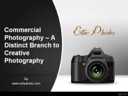 Commercial Photography – A Distinct Branch to Creative Photography