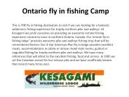 Ontario fly in fishing Camp