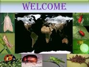 scenario of insect pests under climate change situation PowerPoint PPT Presentation