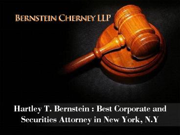 Hartley Bernstein - Law Attorney (1)