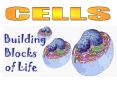 CELLS PowerPoint PPT Presentation