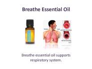 Find Breathe Essential Oil Today