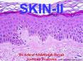SKIN-II PowerPoint PPT Presentation