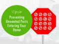 pest control Adelaide- Tips for Preventing the Invasion of Pests into your Home PowerPoint PPT Presentation